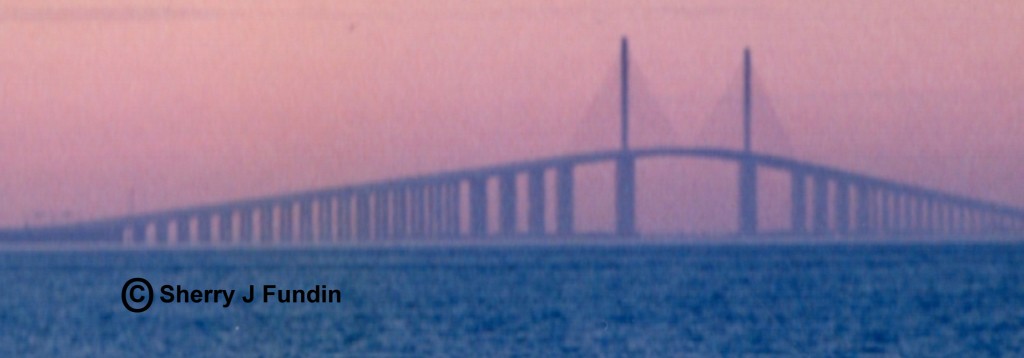 skyline bridge copyright